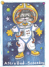 The Amazing Mr. Buddy! by Amye Rosenberg